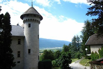 Renovierte Schlosswohnung mit Swimmingpool