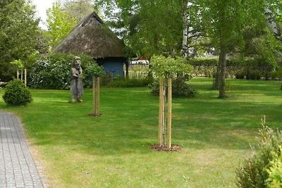 Reetdachhaus Languste, Darß/Ostsee