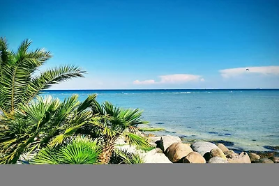 6 persoons vakantie huis in Frederikshavn-By...