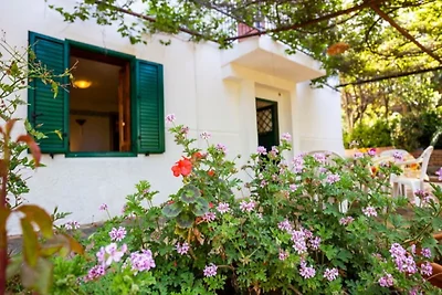 Villa in Ricadi mit Strand und Meer