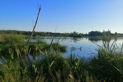 Prachtig chalet bij het bos in Saint-Léger
