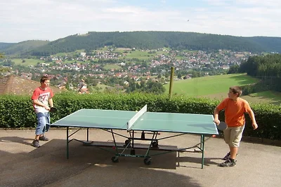 Ferienwohnung mit 2 Schlafzimmer