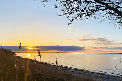 12 Personen Ferienhaus in Nordborg