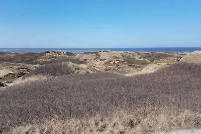 6 persone case ad Blåvand-By Traum