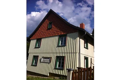 Ferienhaus in Tanne mit Schwimmbecken