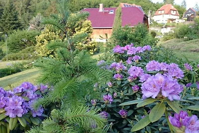 Ferienwohnung in Thale mit Schwimmbecken