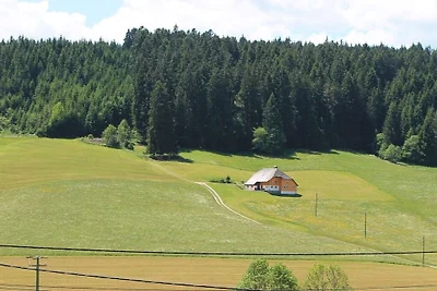 Zipfelhanisenhäusle