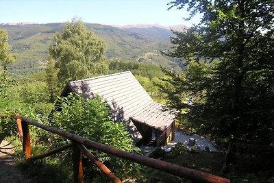 Ruim Chalet in Cutigliano met Zwembad