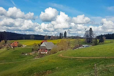 Ferienhaus im Schwarzwald