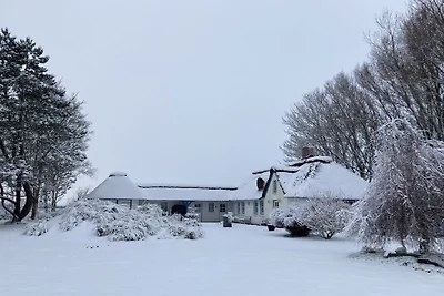 Vakantiehuis in Tating met zwembad