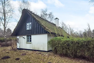 9 Personen Ferienhaus in Frederiksværk