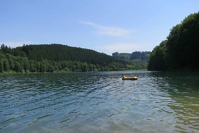 Ruim vakantiehuis in Liesen met speelhal