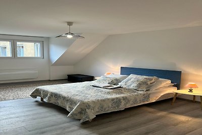 Renovierte Wohnung im Zentrum von Sedan