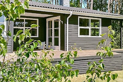 6 persoons vakantie huis in Bording-By Traum
