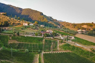 Villa in Lucca mit Weingut und Aussicht