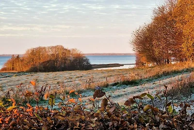 4 Personen Ferienhaus in Assens