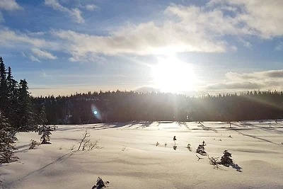 4 Personen Ferienhaus in EGGEDAL