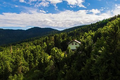 Ein gemütliches Ferienhaus in Kozji Vrh,...