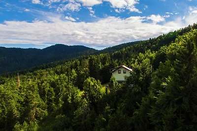 Ferienhaus mit Whirlpool in Kozji Vrh