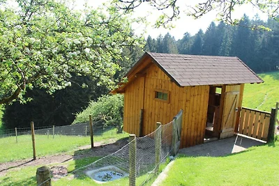 Sonnenschein auf dem Florihof