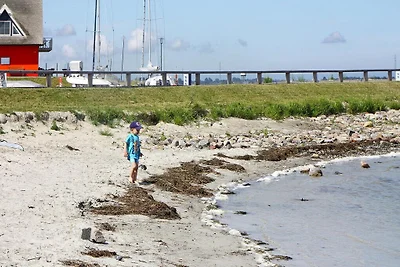 Casa vacanze a Vieregge con spiaggia sul mare