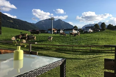 Ferienhaus Erholungsurlaub Mittelberg