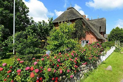 Ferienwohnung in Oevenum auf Foehr