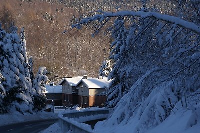 Modernes Ferienhaus bei Skigebiet in...