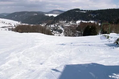 Ferienwohnung bei Willingen mit eigener...