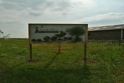 Leuke Tiny Home gelegen naast een eigen