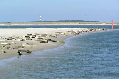 Duinhuis Ameland