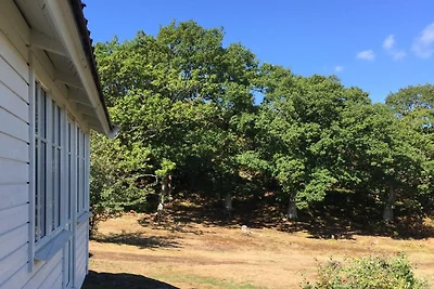 5 Sterne Ferienhaus in MARSTRAND