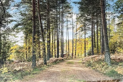 4 Personen Ferienhaus auf Ulfborg-By Traum