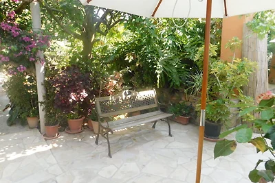 Garten (Sommer) Garten (Sommer)