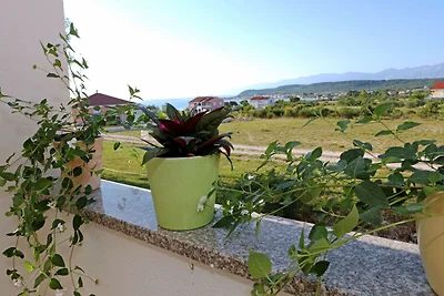 Apartment in Ljubac mit privater Terrasse