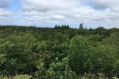 Gemutliche Blockhutte Ruckzugsort-By Traum