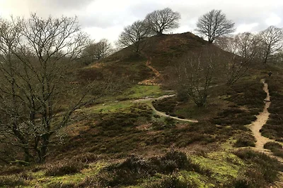 8 persone case ad Gjern-By Traum