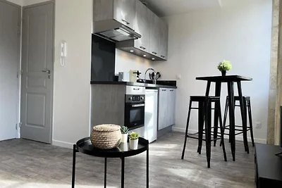 Bel Appartement Clim Et Pierre Bordelaise