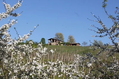 Bella villa a Ziano Piacentino in mezzo ai...