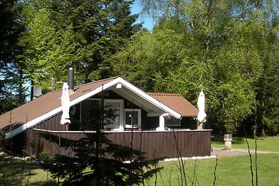 4 Personen Ferienhaus in Jerup-By Traum