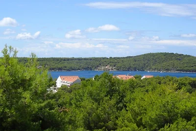 Ferienwohnung in Milna mit Schwimmbecken
