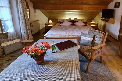 Schwalbennest im Ferienhaus Alt