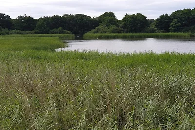 6 Personen Ferienhaus in Ebeltoft-By Traum