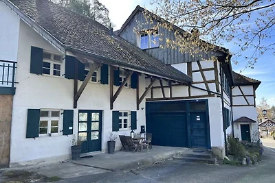 Appartamento vacanze Goldbachmühle...