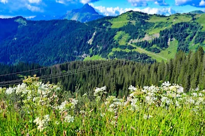 Wohnung in Avoriaz nahe Aquariaz