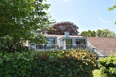 Traumkrone Himmelblau