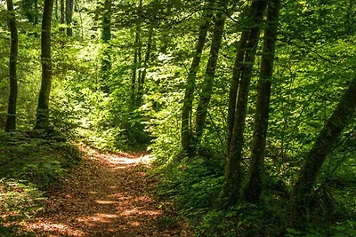 Casa vacanze vicino alla riserva naturale La...