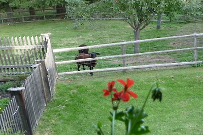 Ferienhaus in Gnesau mit Schwimmbecken