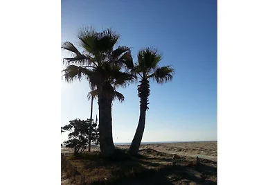 Apartment Heidi in Trastevere