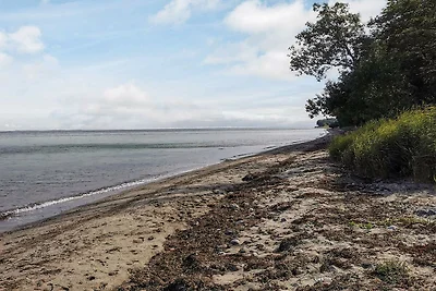 4 Personen Ferienhaus in Tranekær